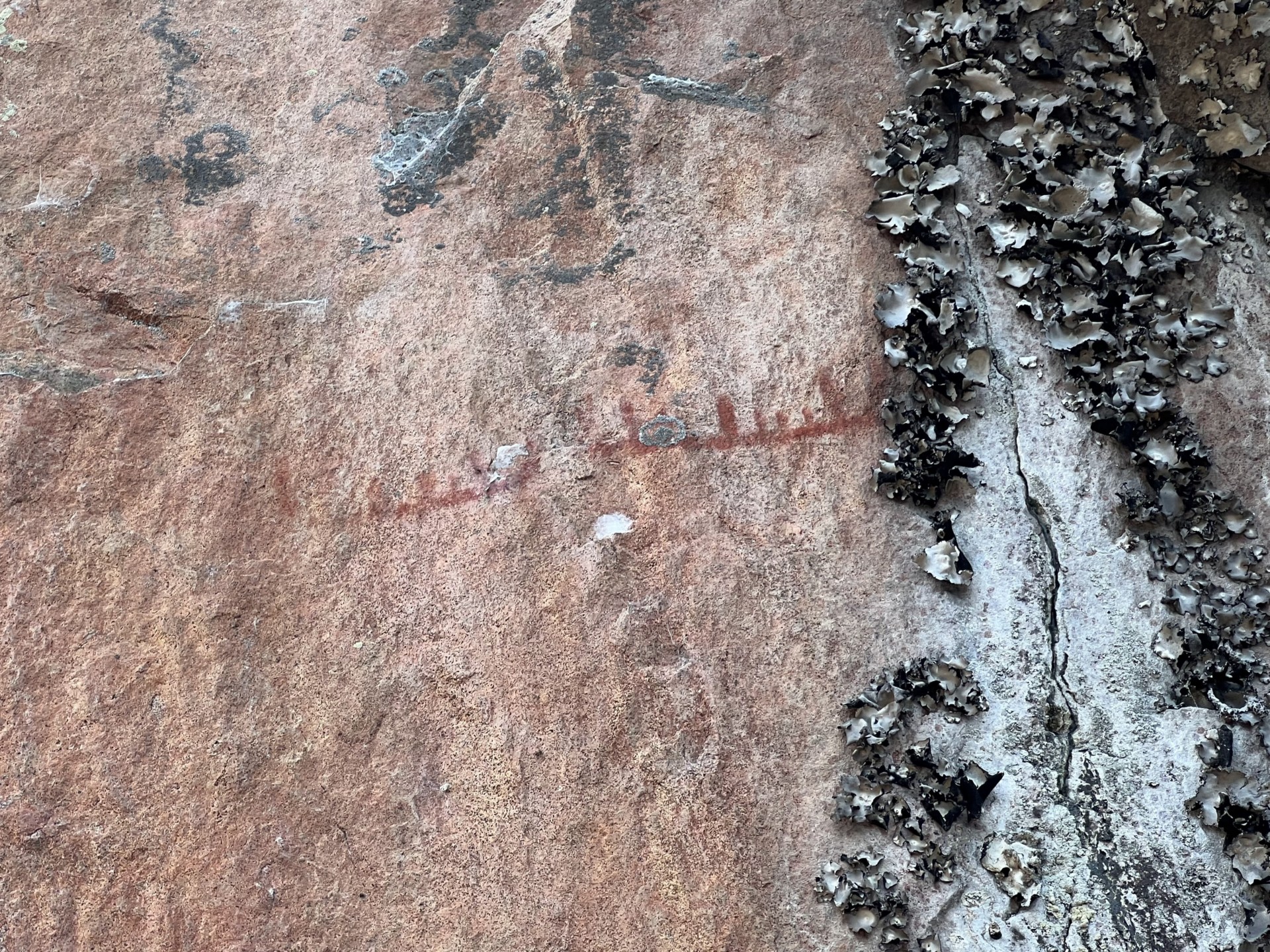 BWCA 2023 Day 5