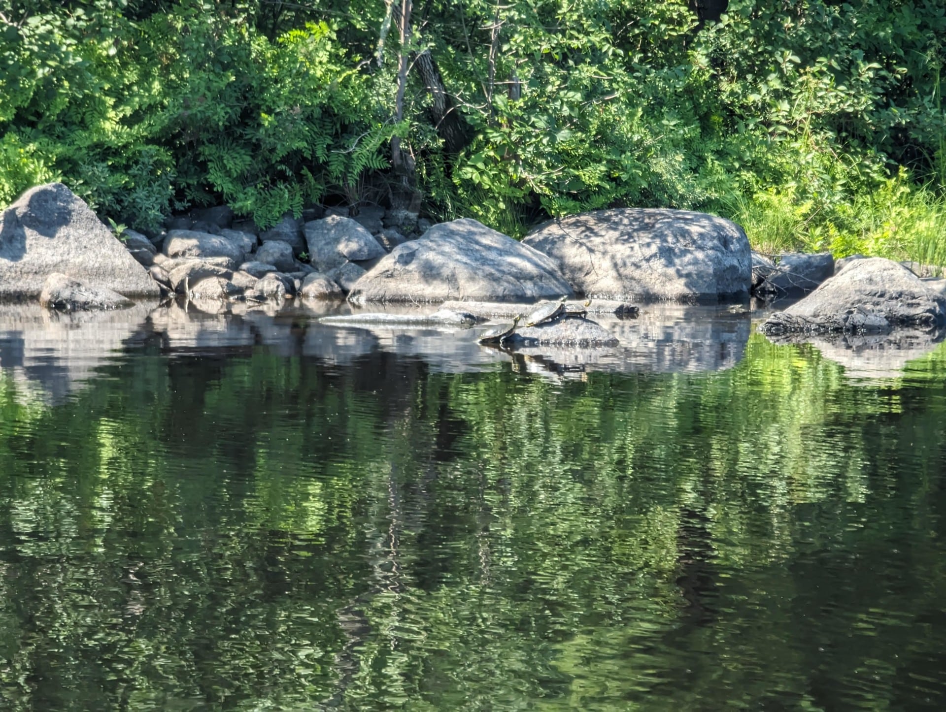 BWCA 2023 Day 7